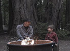 Firelight